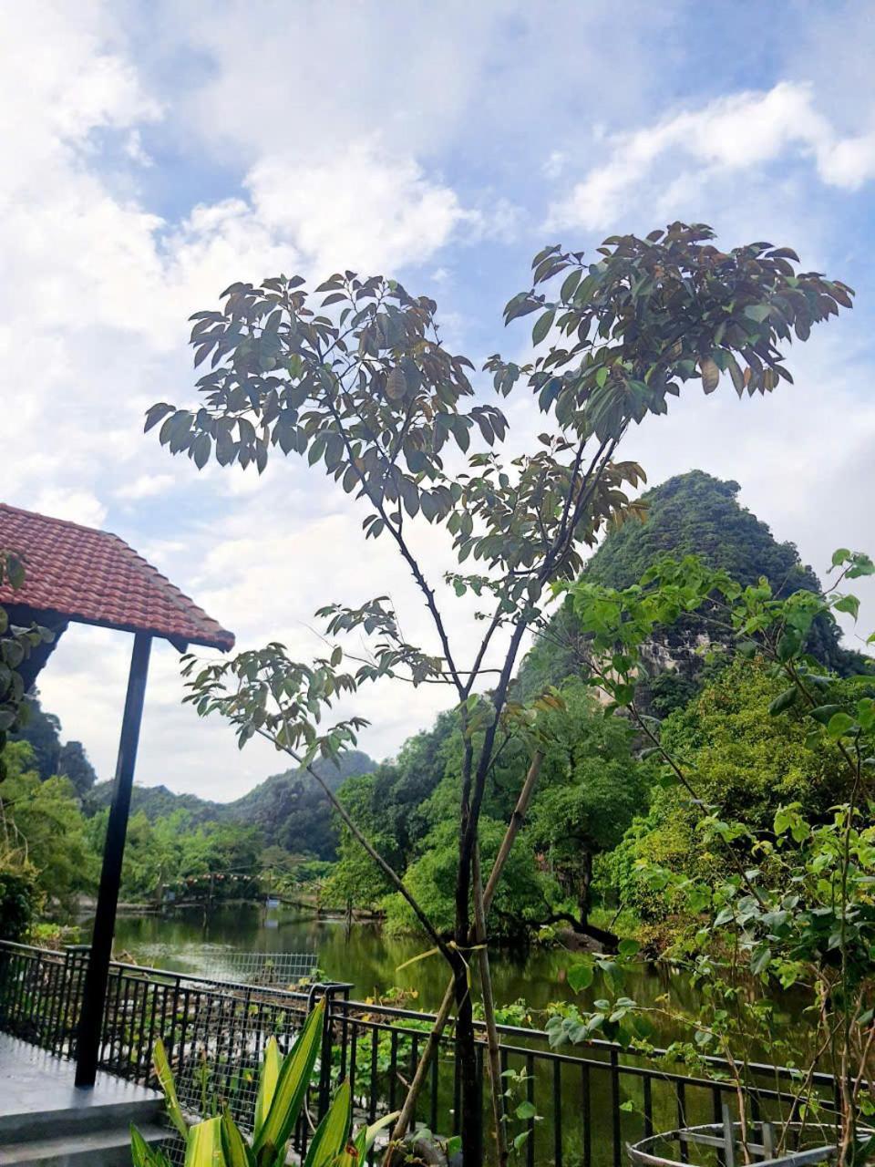 Trang An Hana Homestay Nguyen Ngoai المظهر الخارجي الصورة