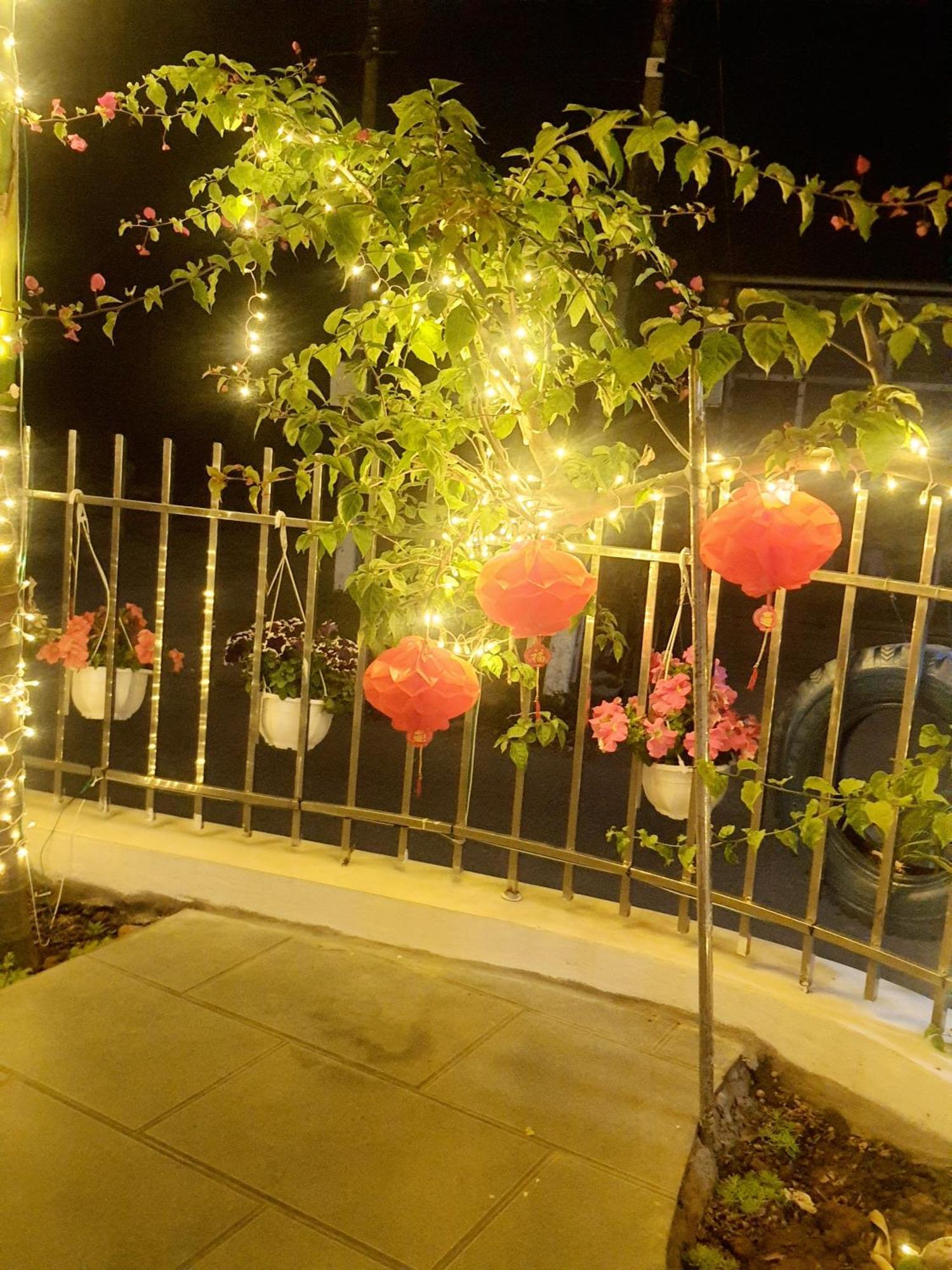 Trang An Hana Homestay Nguyen Ngoai المظهر الخارجي الصورة